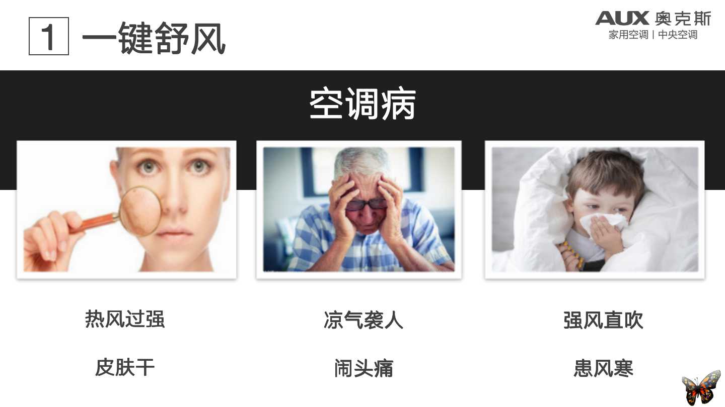 翩然羽蝶 翩然羽蝶