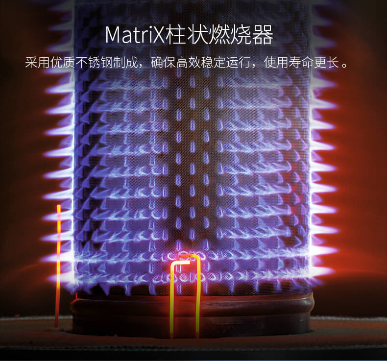 德國菲斯曼B1JE/B1HE 德國菲斯曼B1JE/B1HE