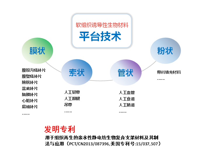 中国生物技术走在国际前沿 松力生物平台技术获美国专利 中国生物技术走在国际前沿 松力生物平台技术获美国专利