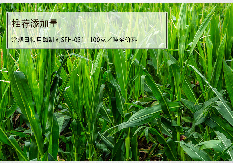 夏盛固体饲料常规日粮专用复合酶(玉米-豆粕型日粮)SFG-0924