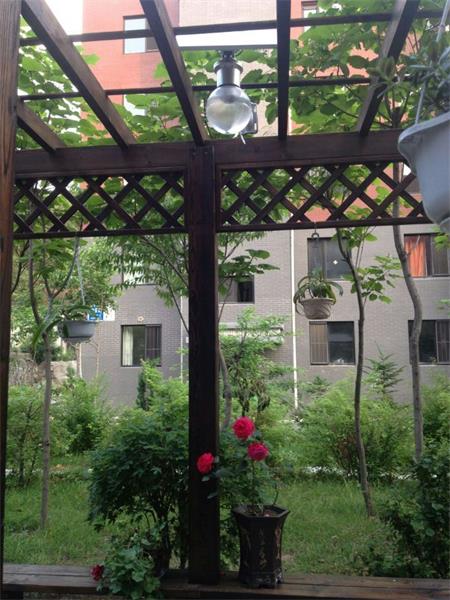 Solar Garden Light in Indonesia