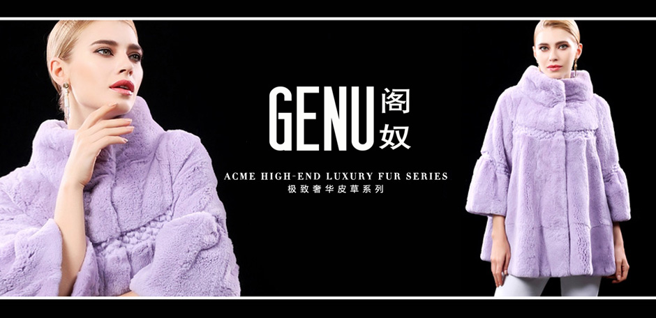 阁奴