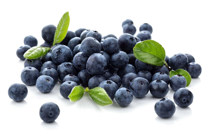 Blueberries helps hypertension