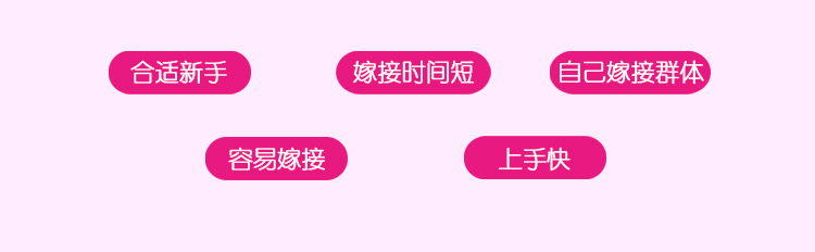 3D朵毛
