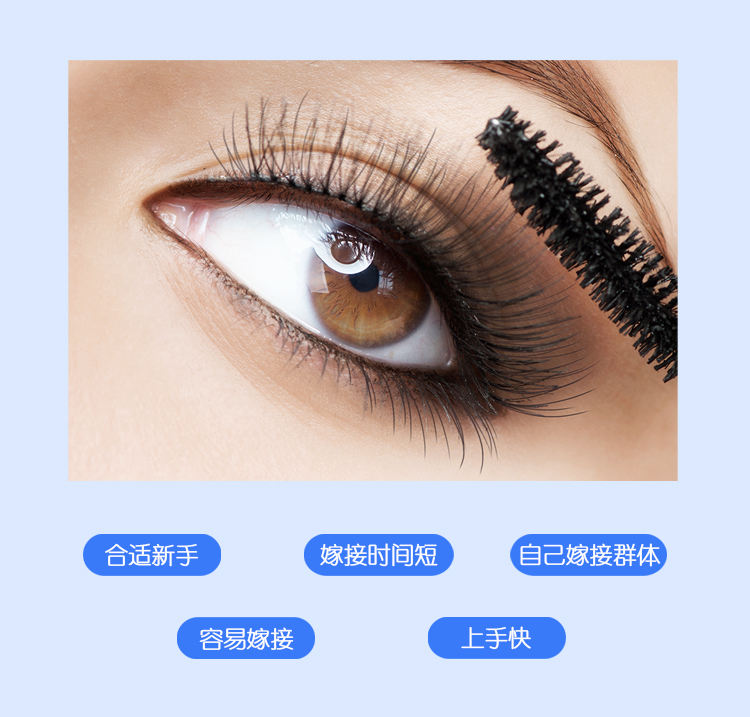 6D朵毛