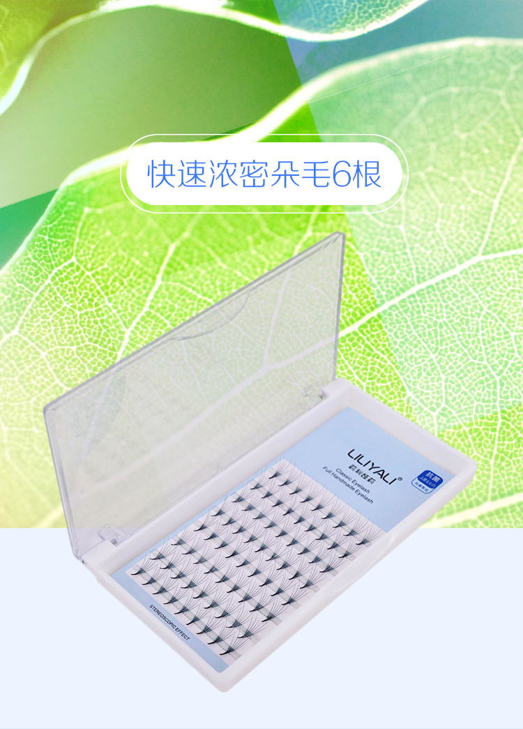 6D朵毛
