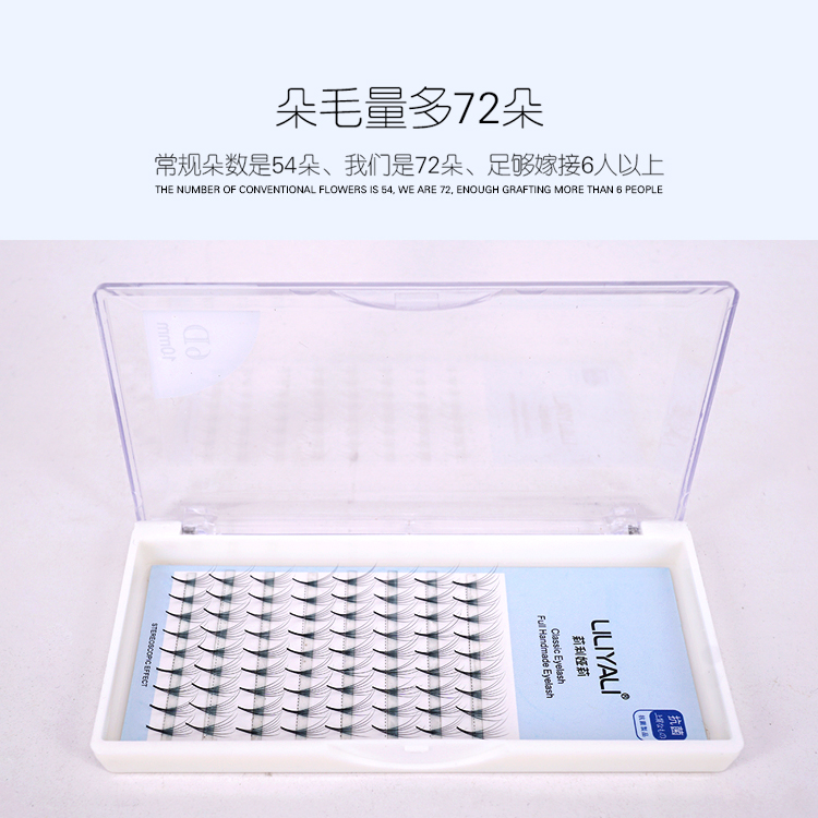 6D朵毛