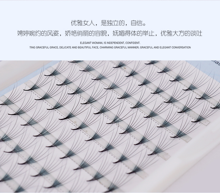 6D朵毛