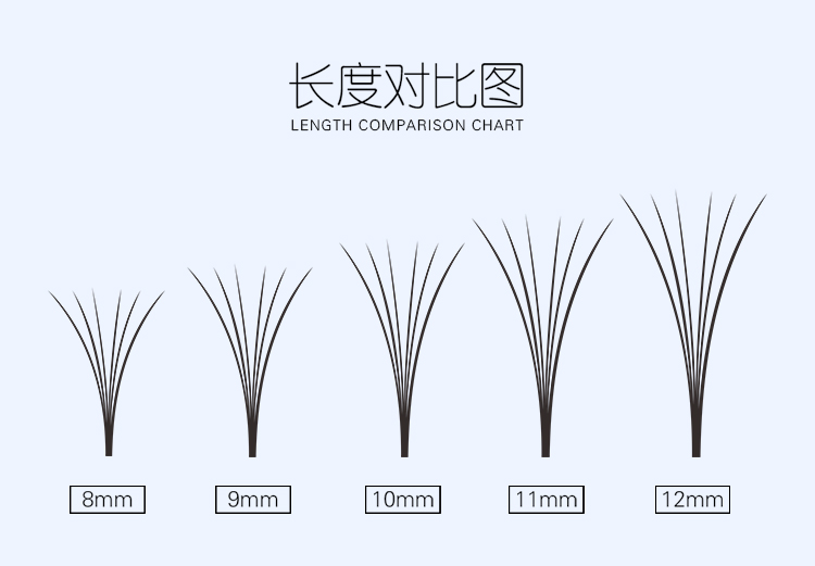 6D朵毛