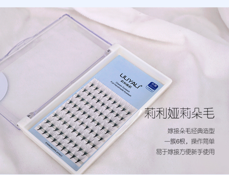6D朵毛