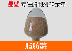 夏盛脂肪酶 夏盛脂肪酶