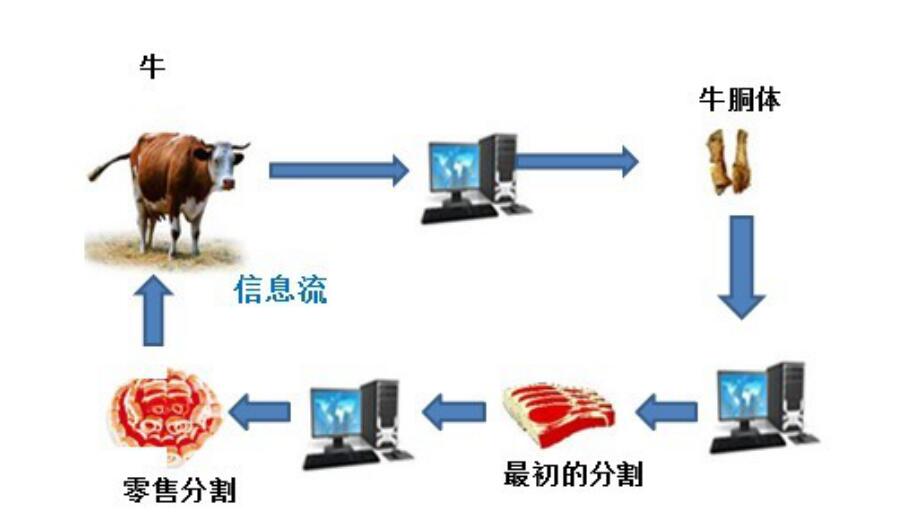 生猪饲养RFID射频识别 管理解决方案
