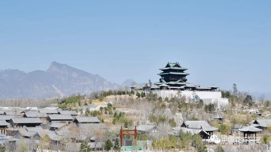 探秘北京世园会植物馆 提前领略“万花筒”的奥秘 | 动态