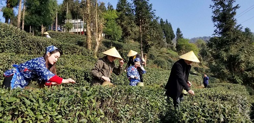 扬子江中水 蒙山顶上茶