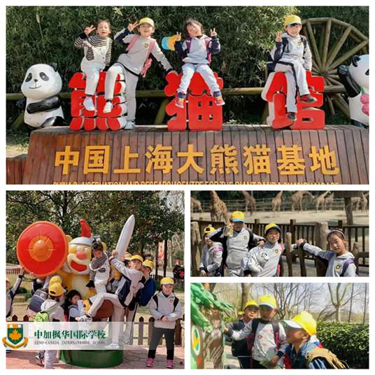 中加枫华国际学校幼小春游：儿童多行处，春暖花开时
