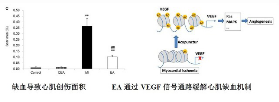 如何选取转录组研究样本？