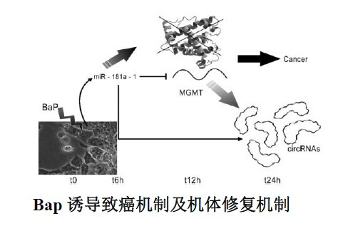 如何选取转录组研究样本？