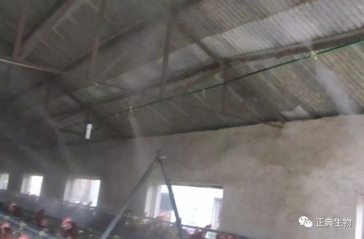 禽流感防制工作中消毒环节的探讨 禽流感防制工作中消毒环节的探讨