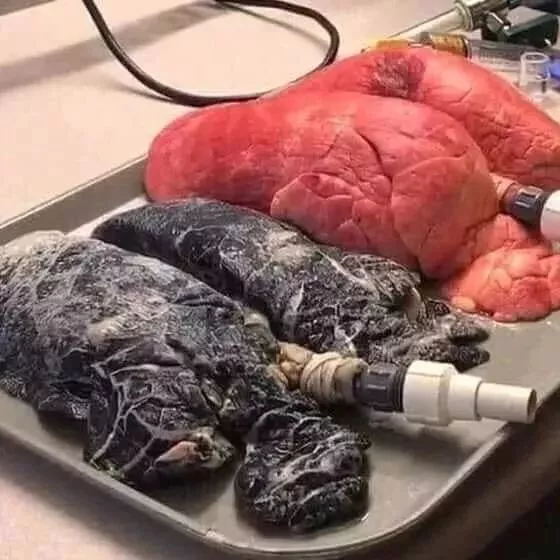 控烟神器丨让家人健康的最好办法 控烟神器丨让家人健康的最好办法