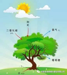 积极推广城市绿地 积极推广城市绿地