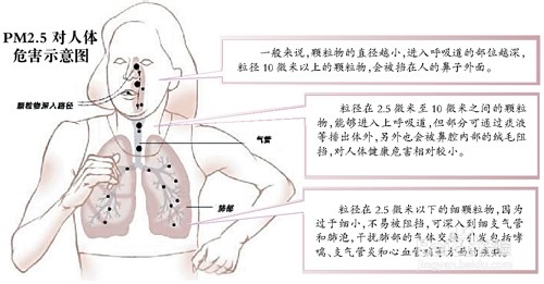 城市雾霾 城市雾霾