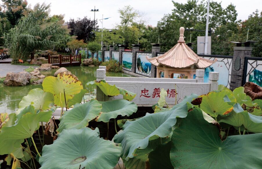 浙江工业大学附属实验学校