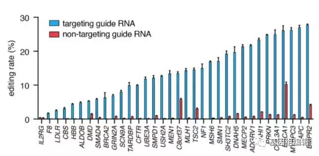 知名华人科学家张峰教授新发现——CRISPR-Cas13的秘密
