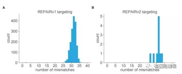 知名华人科学家张峰教授新发现——CRISPR-Cas13的秘密