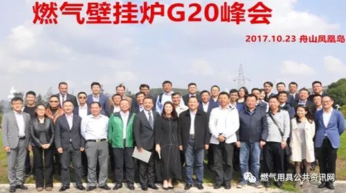 燃气壁挂炉G20峰会在舟山市召开