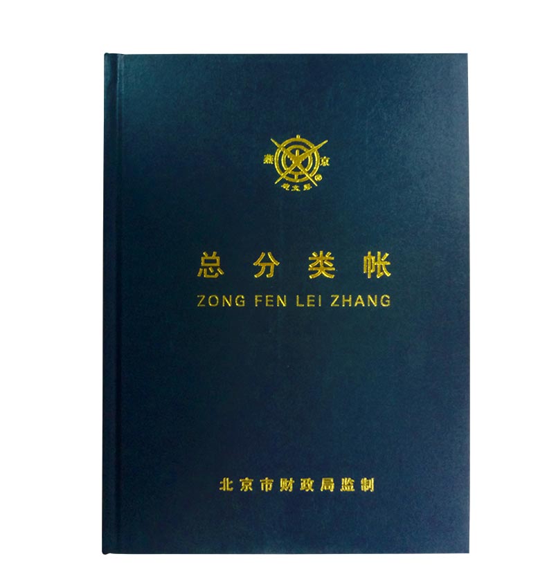 成文厚 借贷式110 总分类账（大）16K 100页/本