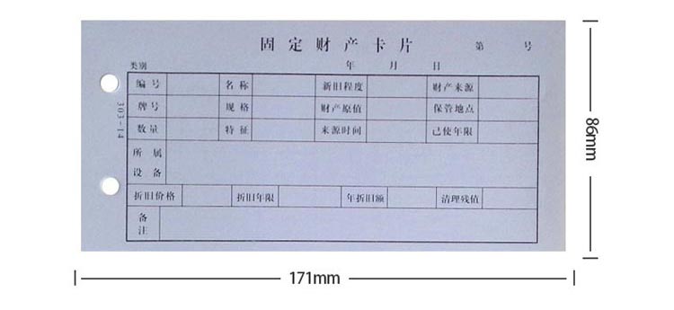 成文厚 303-14 固定资产登记卡 171*86mm 100张/包