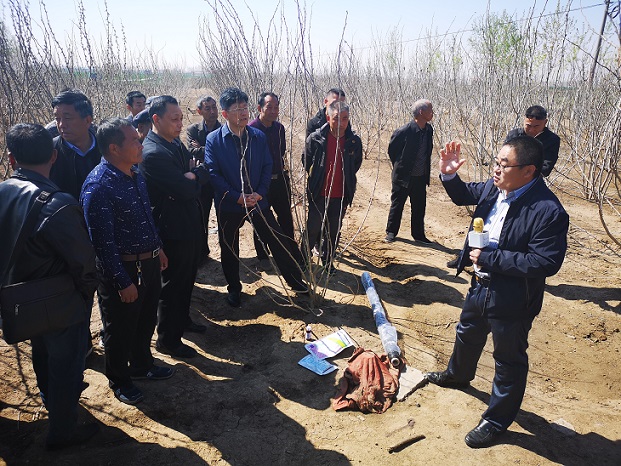桑葚菌核病防治现场观摩培训会在安丘举行 桑葚菌核病防治现场观摩培训会在安丘举行