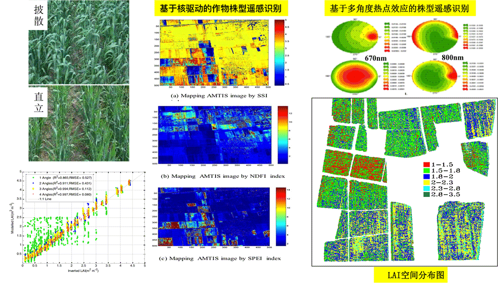 作物理化参数遥感定量反演机理、模型与方法研究