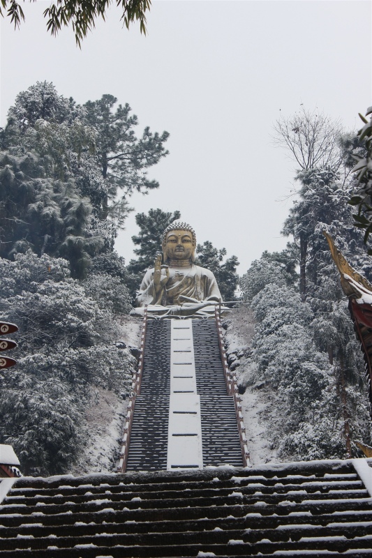 眉山丹棱縣老峨山拓展基地 眉山丹棱縣老峨山拓展基地