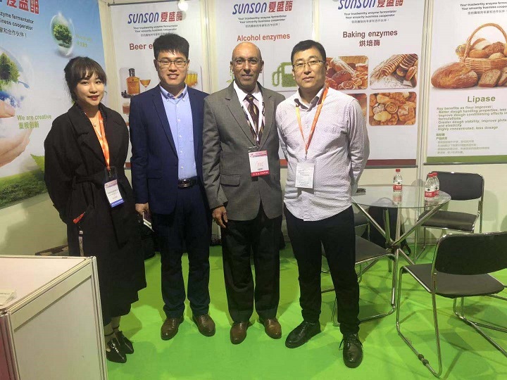 Brief Report of Food Ingredients China 2019