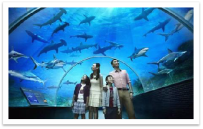 日照海洋公园·虚拟海洋馆 日照海洋公园·虚拟海洋馆