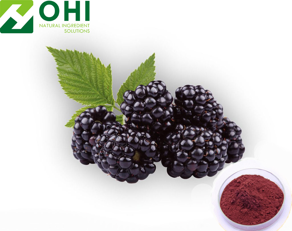 Blackberry extract
