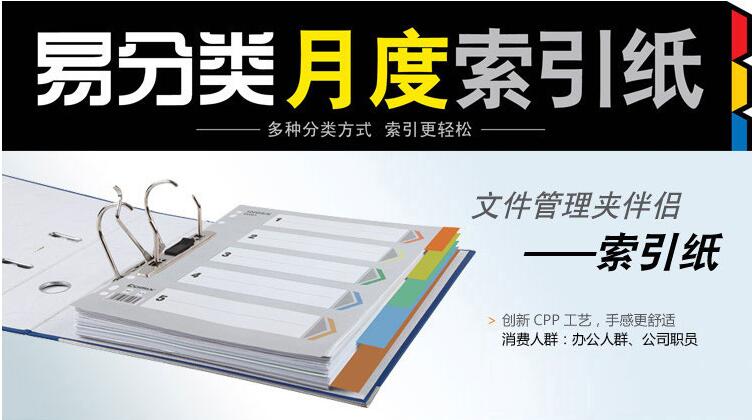 齐心(Comix) IX899 易分类索引纸 A4 31页 11孔