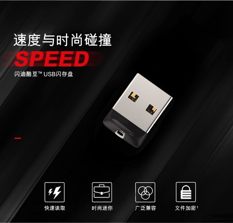 闪迪（SanDisk）CZ33 U盘  USB2.0 酷豆 黑色 车载优选