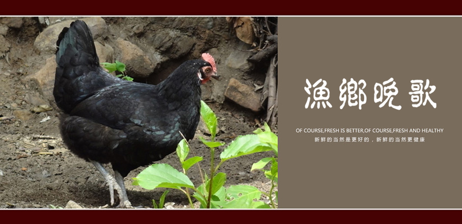 渔乡晚歌