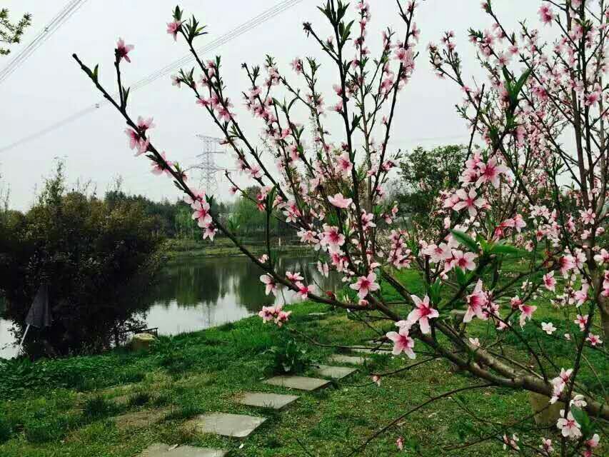 郫县西镇龙翔拓展基地图片 郫县西镇龙翔拓展基地图片