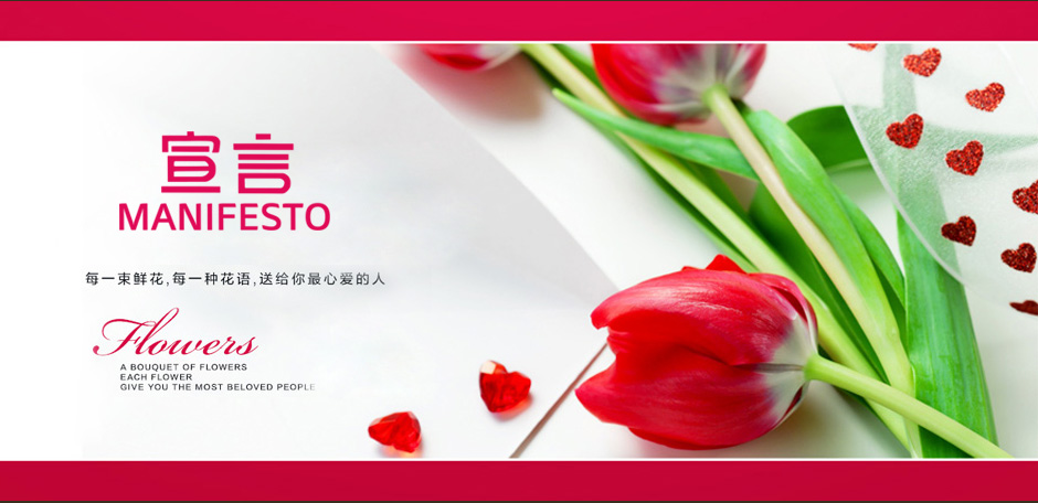 宣言 MANIFESTO