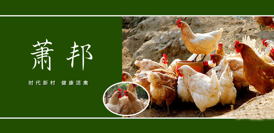 宠物商标转让办理需要注意什么