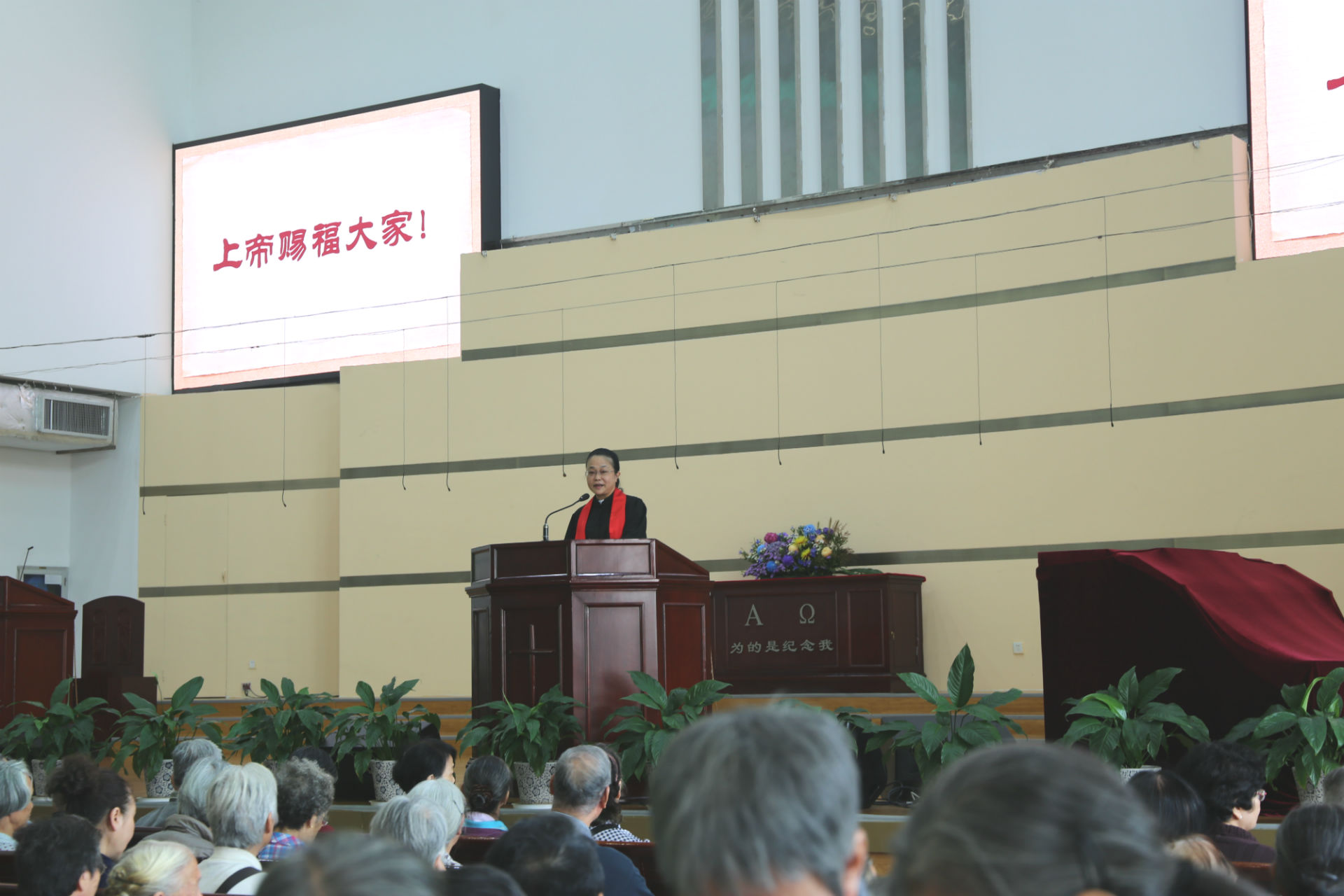 白发是智慧的冠冕——重阳节敬老孝亲活动 白发是智慧的冠冕——重阳节敬老孝亲活动