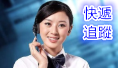 分公司資料 分公司資料