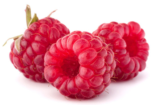 Plant extracts to help you lose weight Plant extracts to help you lose weight