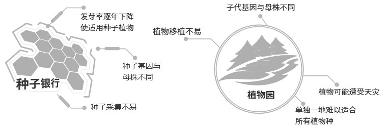 植物智能保护平台