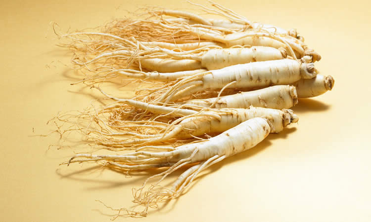 Plant extract helps to imrpove your immunity Plant extract helps to imrpove your immunity
