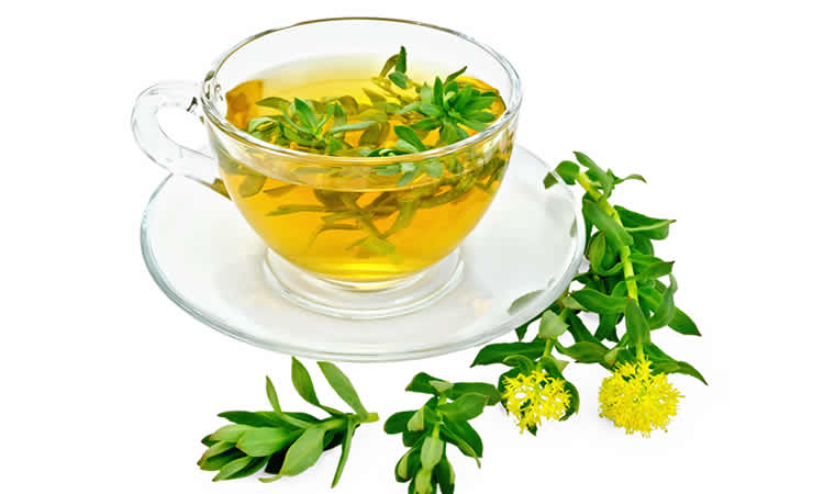 Plant extract helps to imrpove your immunity Plant extract helps to imrpove your immunity