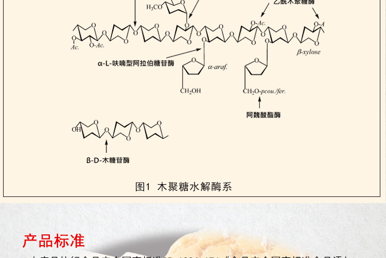 夏盛固体食品级木聚糖酶28万酶活(多酶协同作用/降解木聚糖)FDG-2221